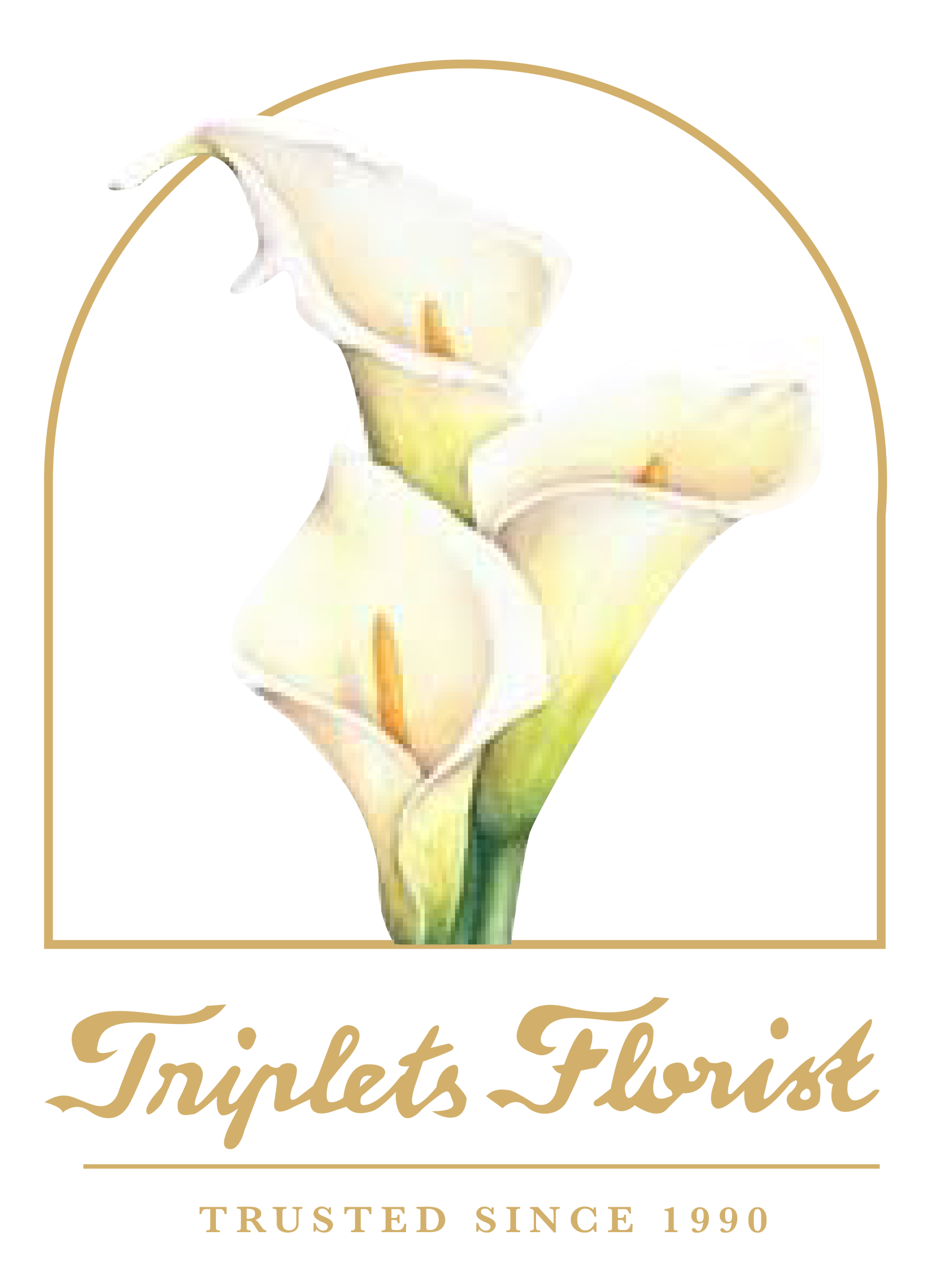 Triplets Florist