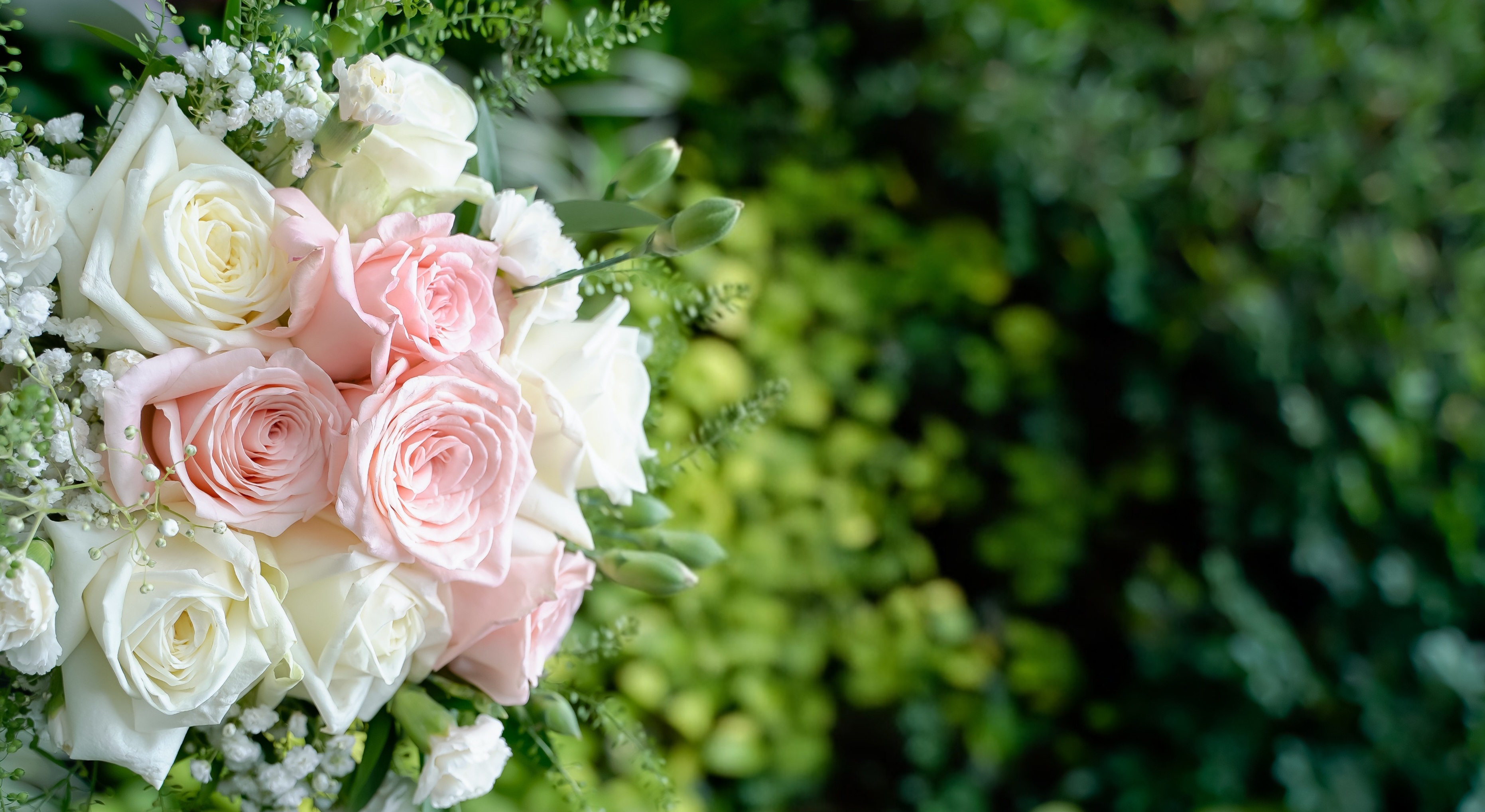 StandingCondolences6500k